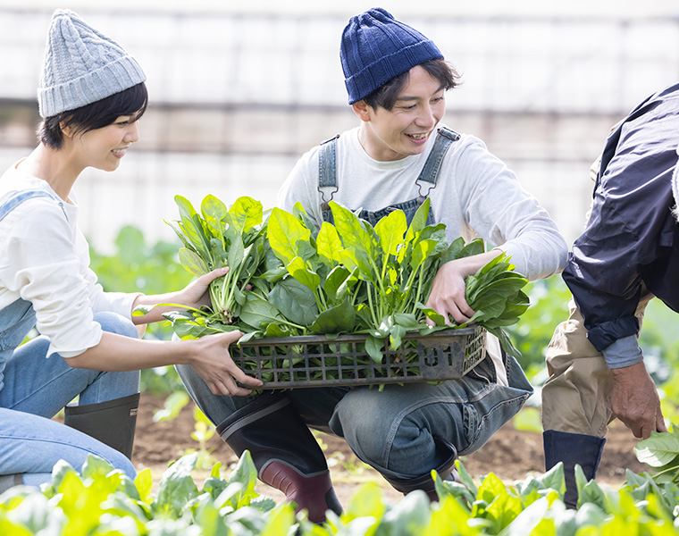 パートナー募集